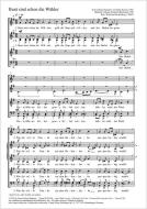 Bunt sind schon die Wälder Standard