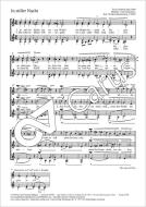 In stiller Nacht Standard