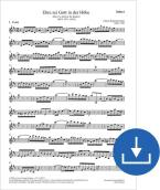 Ehre sei Gott in der Höhe BWV 197a, BWV3 197.1 Download