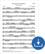 Ehre sei Gott in der Höhe BWV 197a, BWV3 197.1 Download