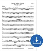 Ehre sei Gott in der Höhe BWV 197a, BWV3 197.1 Download