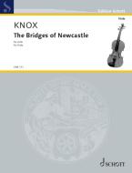 The Bridges of Newcastle Standard