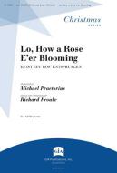 Lo, How a Rose E'er Blooming 