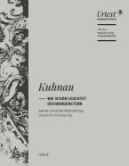 Wie schön leuchtet der Morgenstern 