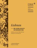 Wie schön leuchtet der Morgenstern 