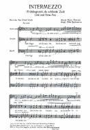 Intermezzo (Frühlingszeit, du schönste Zeit) 