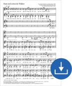 Bunt sind schon die Wälder Download