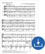 Kein schöner Land Download