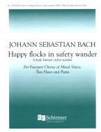 Happy Flocks in Safety Wander 