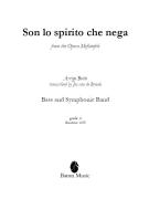 Son lo spirito che nega 