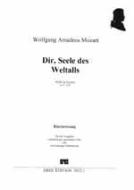 Dir, Seele des Weltalls 