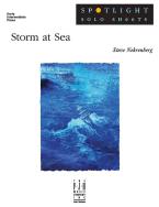 Storm at Sea Standard