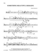 Something Beautiful Remains 