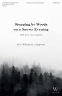 Stopping By Woods on a Snowy Evening 