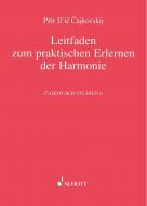 Tchaikovsky Studien 6 