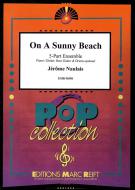 On A Sunny Beach Download