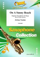 On A Sunny Beach Download
