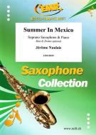 Summer In Mexico Download