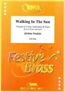 Walking In The Sun Download
