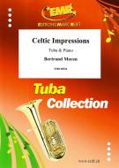 Celtic Impressions Download