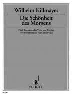 Die Schönheit des Morgens 