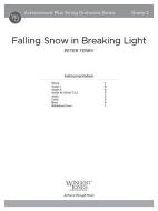 Falling Snow in Breaking Light 