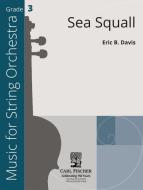 Sea Squall 