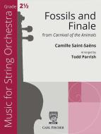 Fossils and Finale 