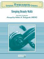 Sleeping Beauty Waltz Download