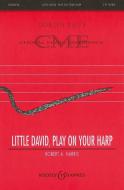 Little David Play On Your Harp 