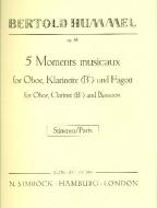 5 Moments Musicaux op. 48 