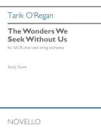 The Wonders We Seek Without Us 