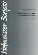 Fantasia concertante 
