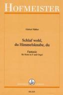 Schlaf wohl, du Himmelsknabe, du 
