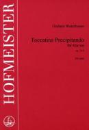 Toccatina Precipitando op. 24/3 