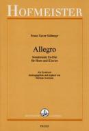 Allegro - Sonatensatz Es-Dur 