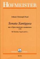Sonata Xantippea aus op. musicum sonatarum 