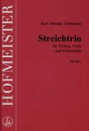 Streichtrio 