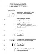 Spieltechniken auf der Harfe 