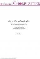 Sterne über stillen Straßen 