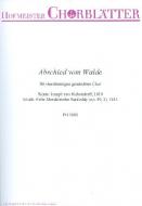 Abschied vom Walde 