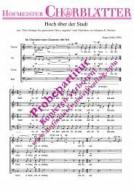 Hoch über der Stadt (In dem Café) 