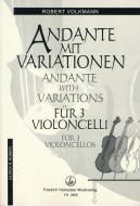 Andante mit Variationen 