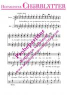 Die Minnesänger op. 33/2 