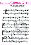 Nächtliches Ständchen (Leise, leise lasst uns singen) 