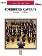 The Forbidden Caverns 