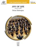 Joy Of Life Download