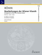 Bearbeitungen der Wiener Klassik Standard