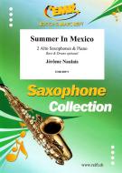Summer In Mexico Download