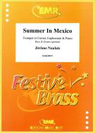 Summer In Mexico Download